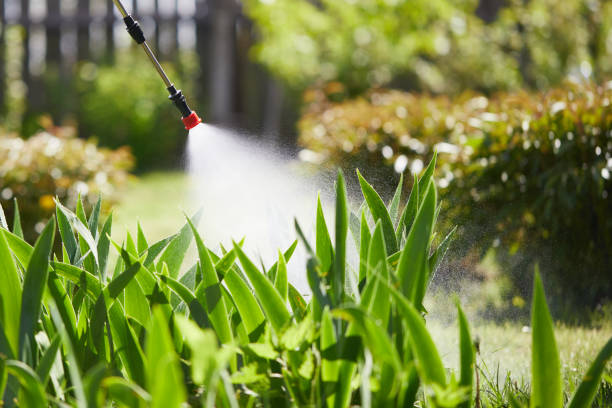 24/7 Emergency Ant Control experts in South Point, OH